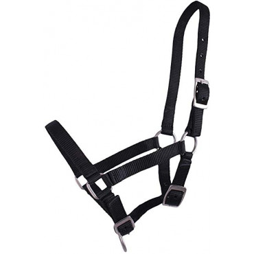 Licol poulain/shetland nylon