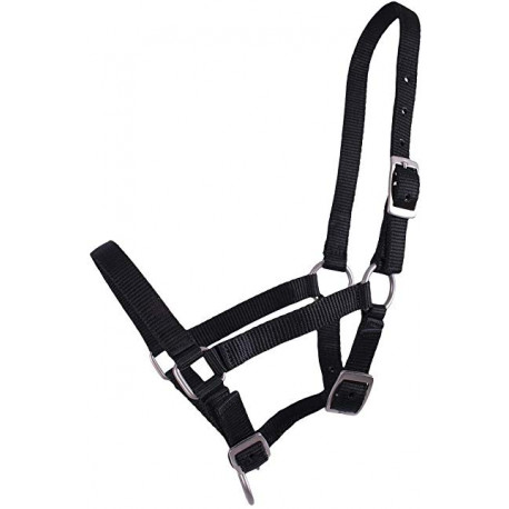 Licol poulain/shetland nylon