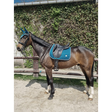 TAPIS + BONNET SPRINGOLD