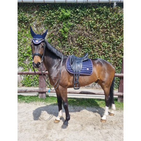 TAPIS + BONNET SPRINGOLD