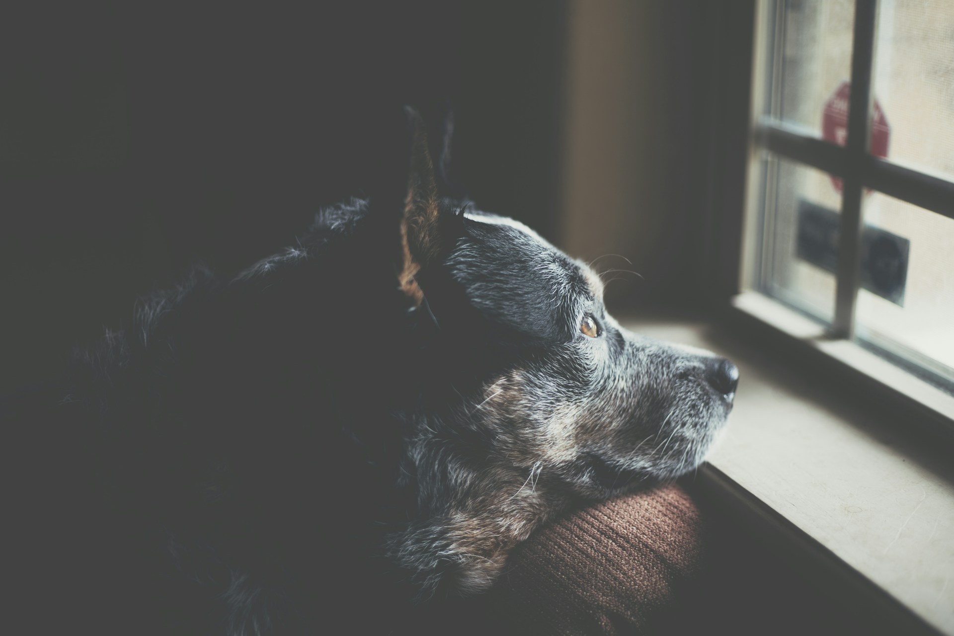 ÉVÉNEMENT D'INAUGURATION